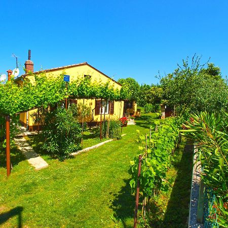 House 1037 Villa Fažana Kültér fotó