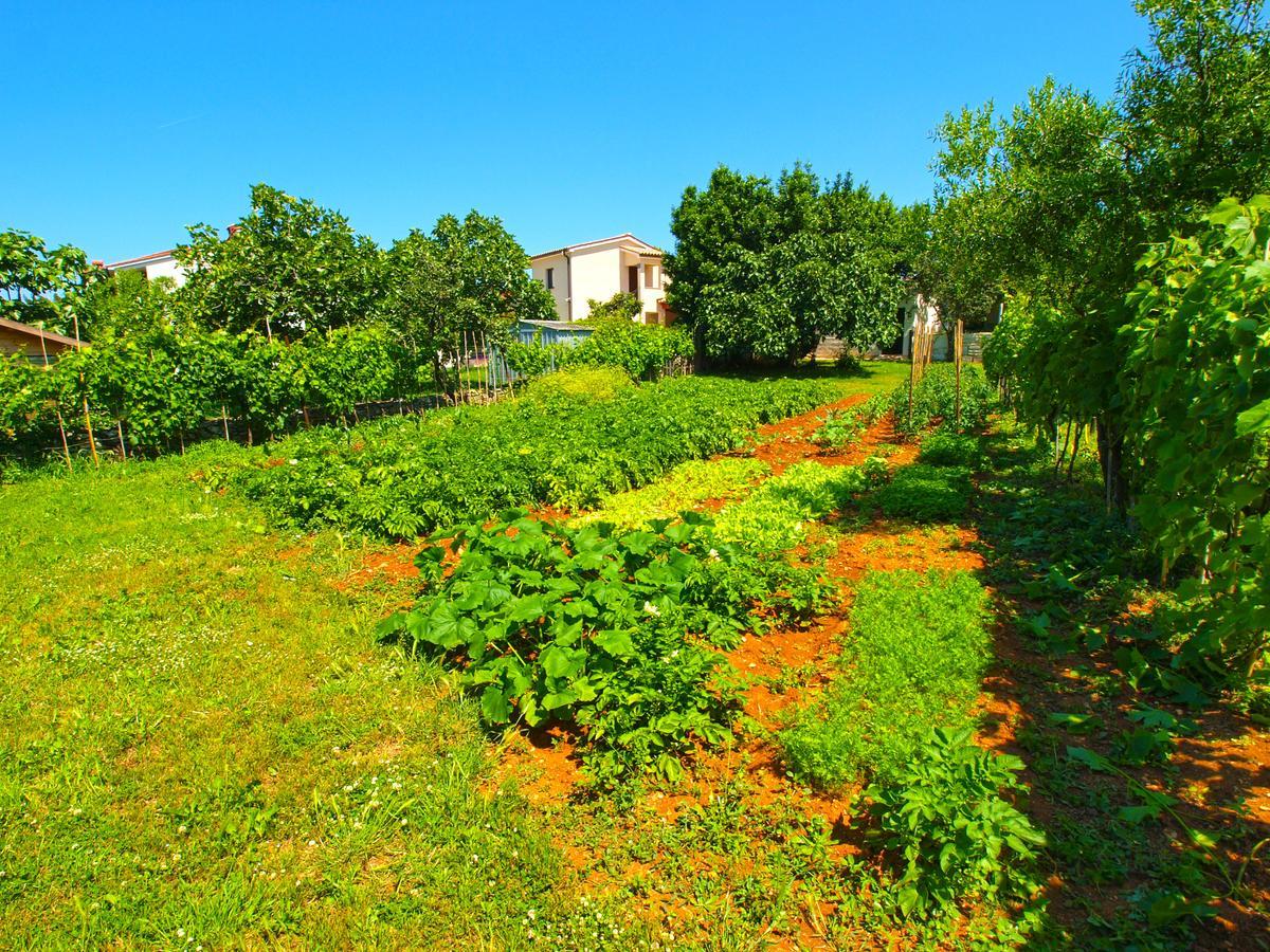 House 1037 Villa Fažana Kültér fotó